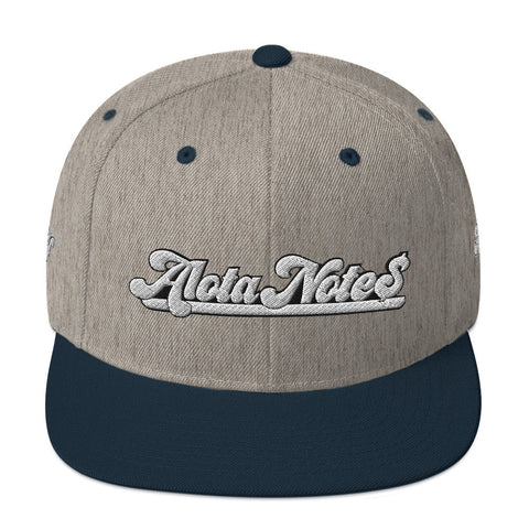 Alota Note$ Garmentry Snapback Hats