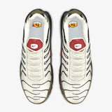 Nike Air Max Plus x Alota Note$ 'DGMGR' Edition