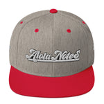 Alota Note$ Wordmark Classic SnapBack Yupoong 6089m