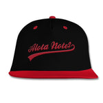 Alota Note$ Ballpark Flexfit 2Tone Snapback Baseball Cap (7 colors)