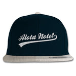 Alota Note$ Ballpark Premium Snapback