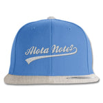 Alota Note$ Ballpark Premium Snapback