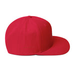 RNS Global Snapback Hat