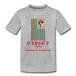 D'IMAG'E Legacy Youth Juneteenth Premium T-Shirt - heather gray